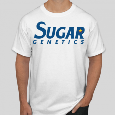 RoundNeck Tshirt